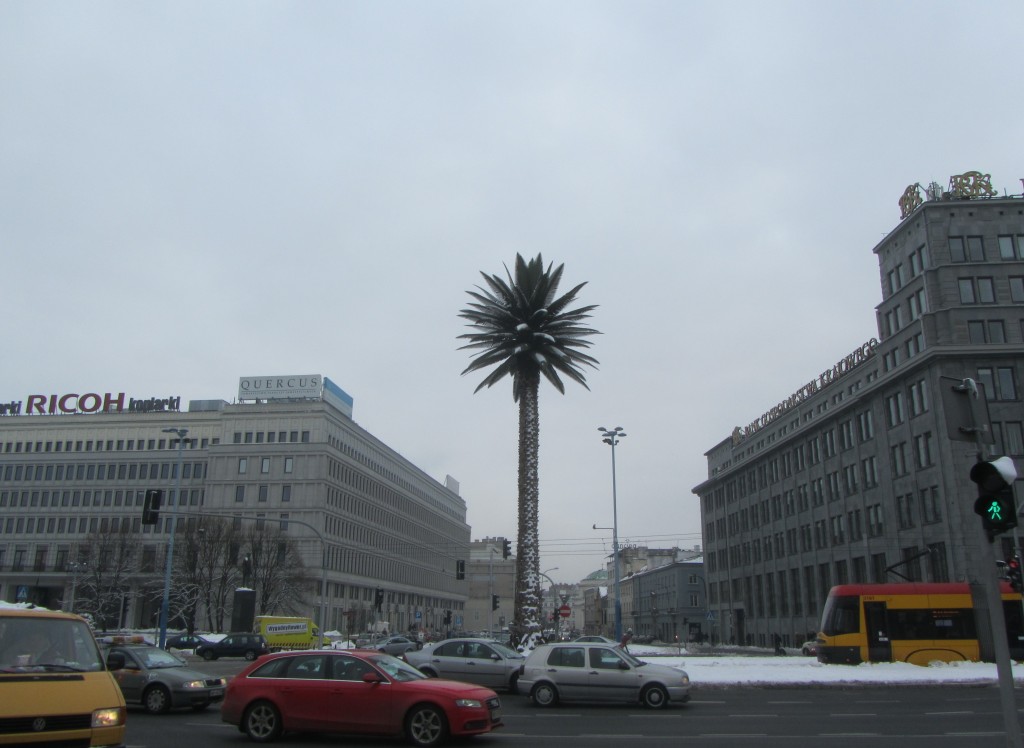 Palmera fría y solitaria