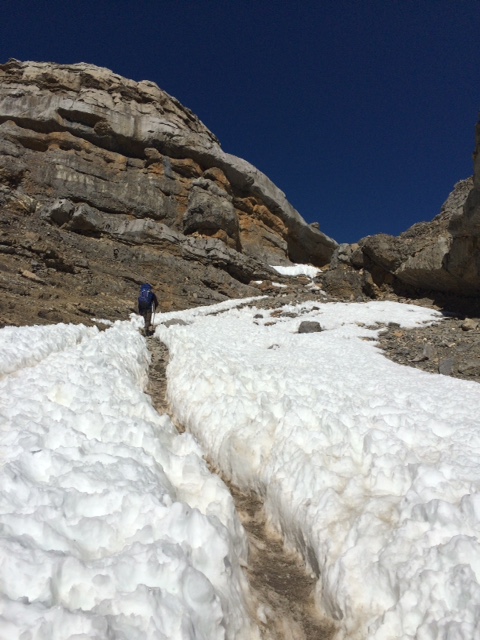 Subida del Thorung Pedi al High Camp