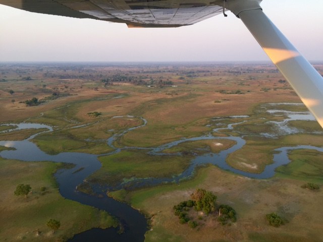 Sobrevolar el Delta del Okavango en avioneta