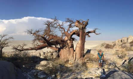 Kubu Island Botswana, la isla en los salares de Makgadikgadi con baobabs