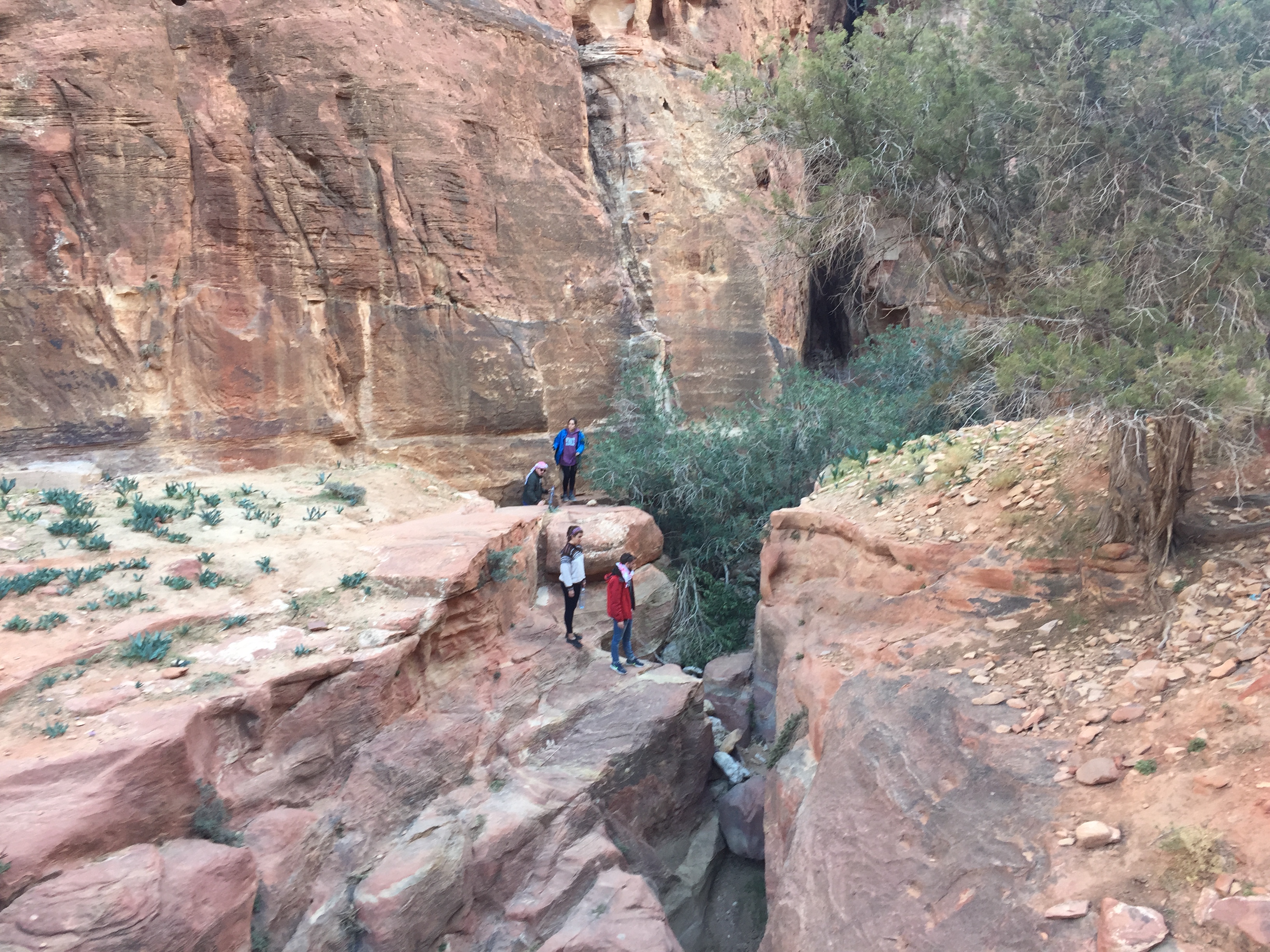 Petra de mochileroEl sendero que lleva a ver el tesoro de Petra desde arriba; visitando Petra al estilo mochilero