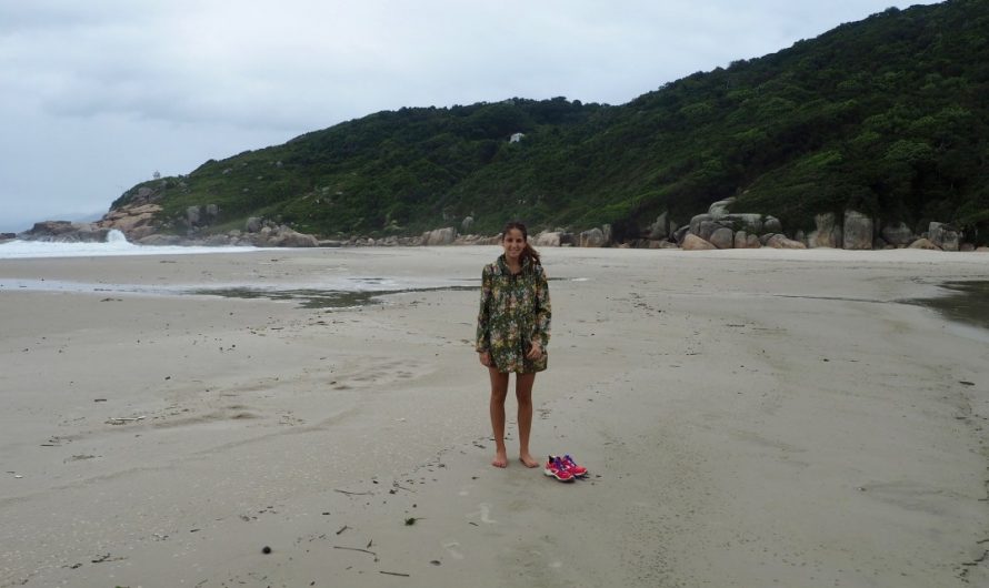 Cómo llegar a Playa Naufragados (Florianópolis)