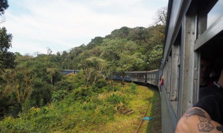 Serra Verde Express Tren Curitiba Morretes